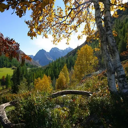 Otel Ochsen By Mountain 3*